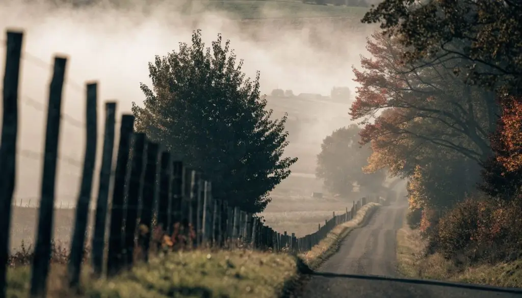 A quiet country road through the hills of Western Pennsylvania in morning fog
